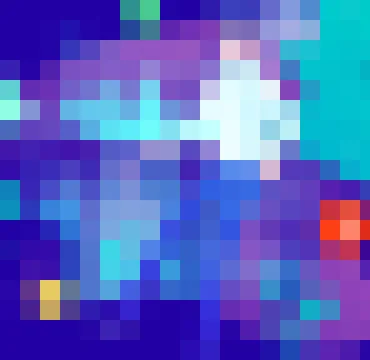 天空体育